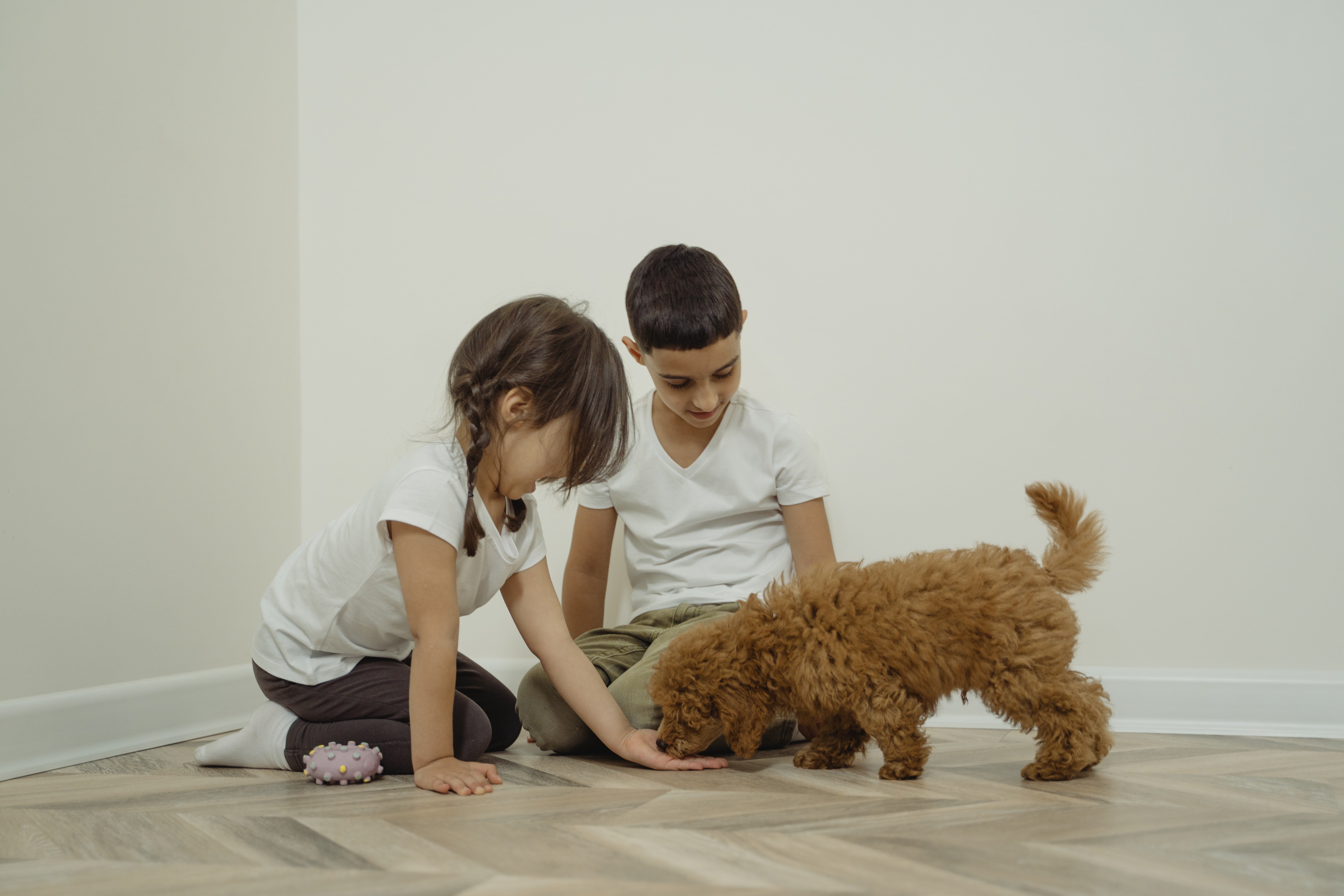 Un niño y una niña juegan con un pequeño perrito. | Foto: Pexels