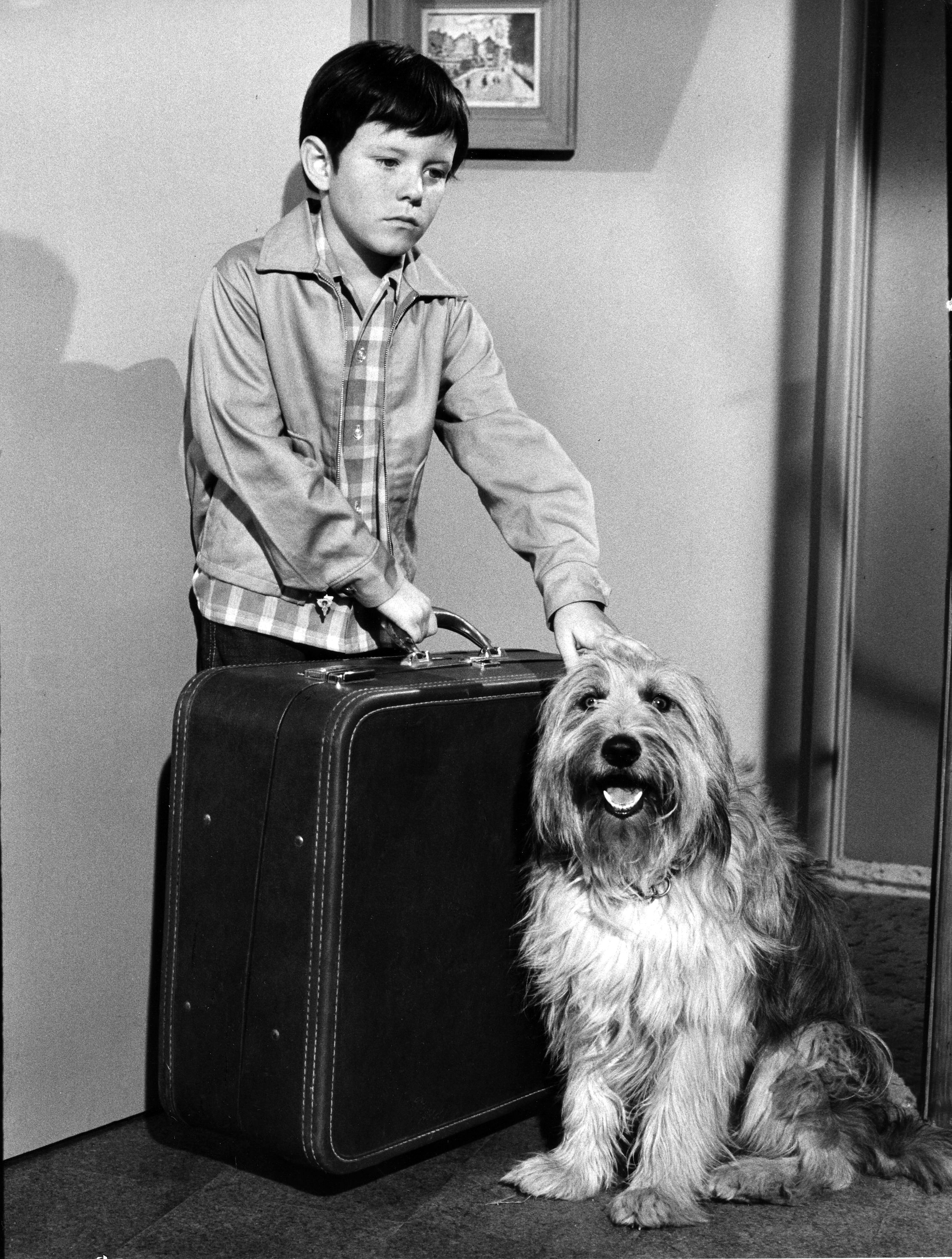 Mike Lookinland as a child star in "The Brady Bunch" | Source: Getty Images