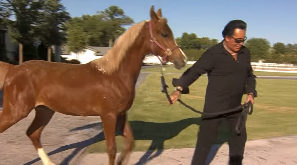 Wayne Newton on his former estate Casa de Shenandoah from a video dated July 3, 2012 | Source: YouTube/@mikecervantes