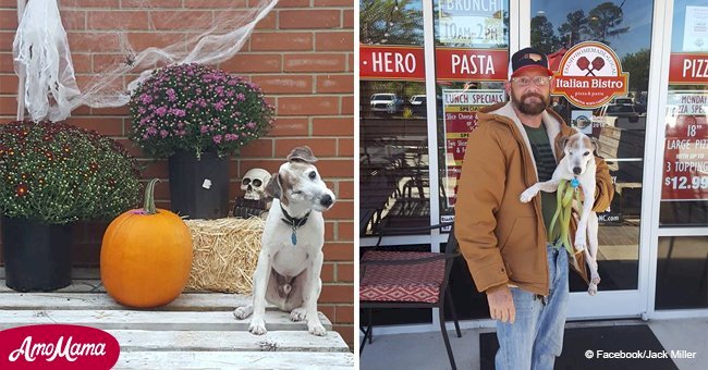 Community stricken by Hurricane Florence assists a dying dog in accomplishing his bucket list