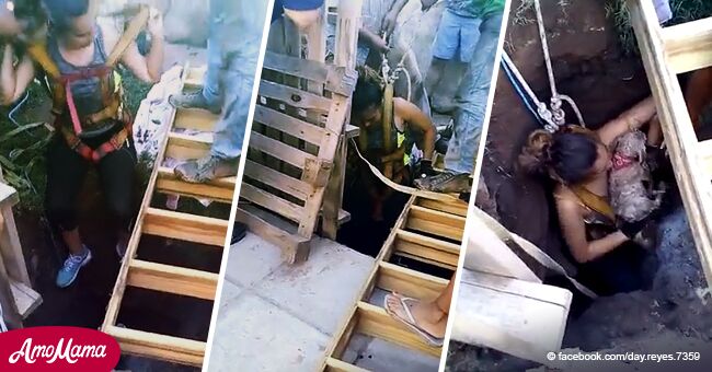Une femme courageuse risque sa vie et descend dans un puits de 12 mètres pour sauver deux chiens piégés