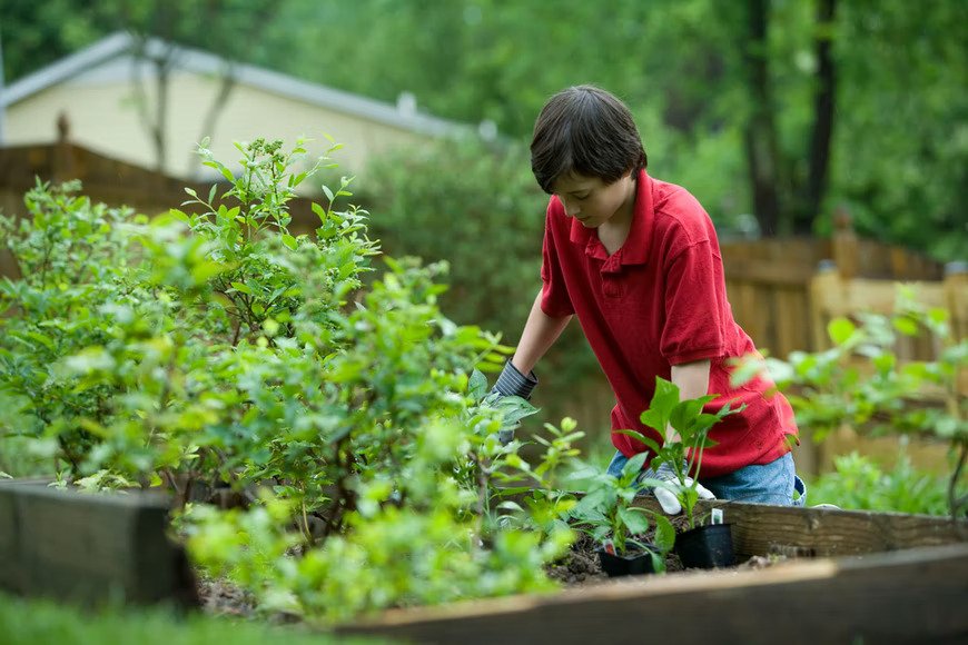 Un niño trabajando en un jardín. | Foto: Unsplash