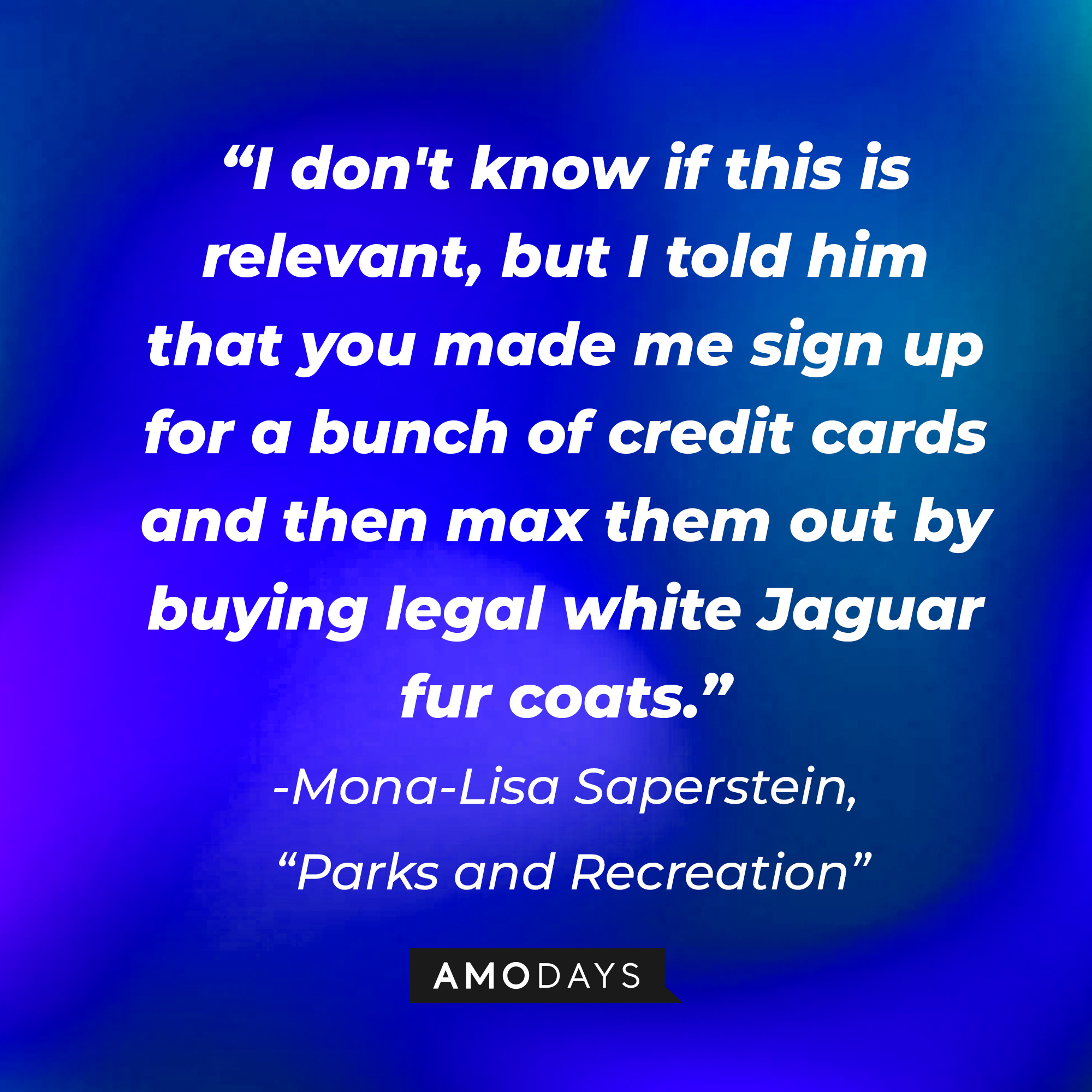 Mona-Lisa Saperstein's quote on "Parks and Recreation:" “I don't know if this is relevant, but I told him that you made me sign up for a bunch of credit cards and then max them out by buying legal white Jaguar fur coats." | Source: AmoDays