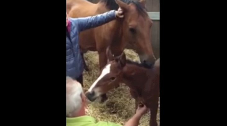 Quelle: Facebook/Equeception Quelle: Facebook/Equeception