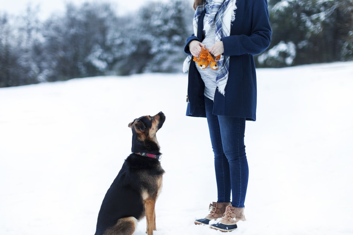 Fortunately for Jeremy, Lucy found him while walking her dog | Source: Unsplash