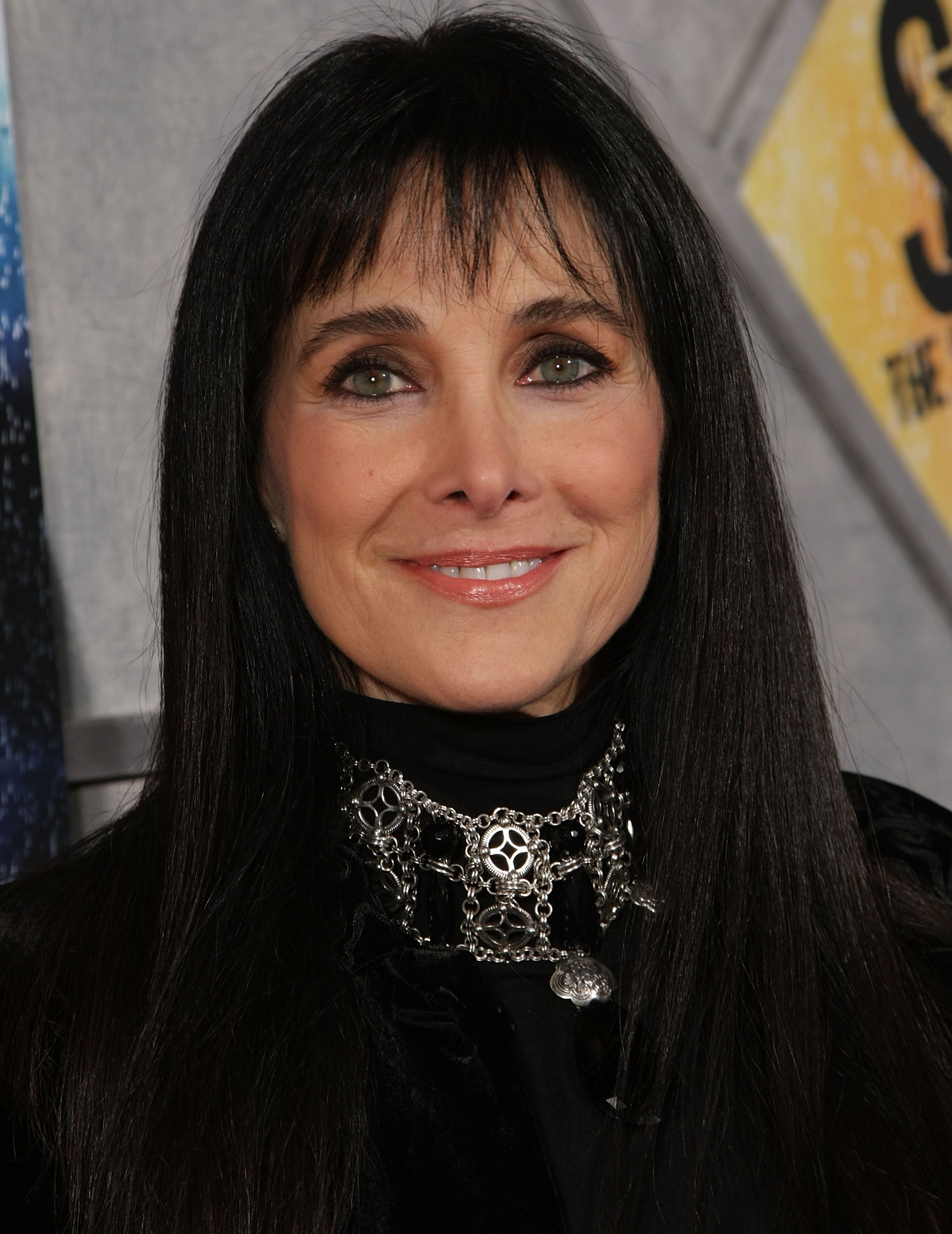 Connie Sellecca at the premiere of the film "Step Up 2 The Streets" in 2009 | Source: Wikimedia