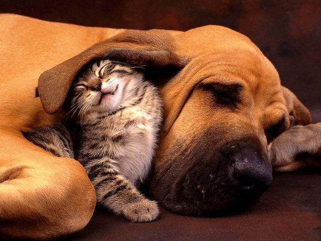 Source: Flickr