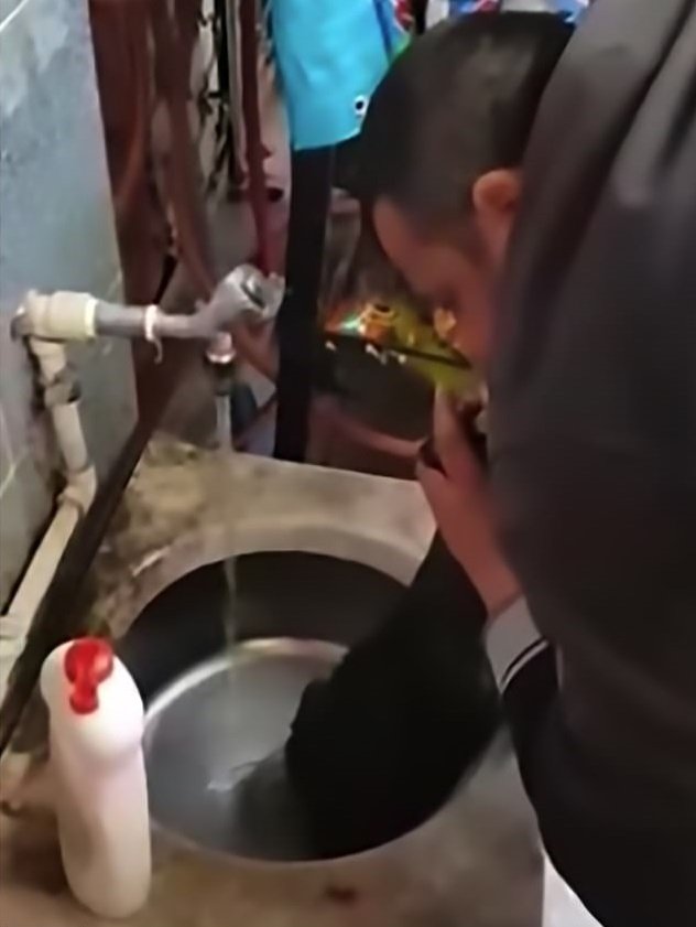 Hombre coloca bajo un chorro de agua a canino para hacerlo reaccionar. | Foto: YouTube/World News for all Hombre coloca bajo un chorro de agua a canino para hacerlo reaccionar. | Foto: YouTube/World News for all