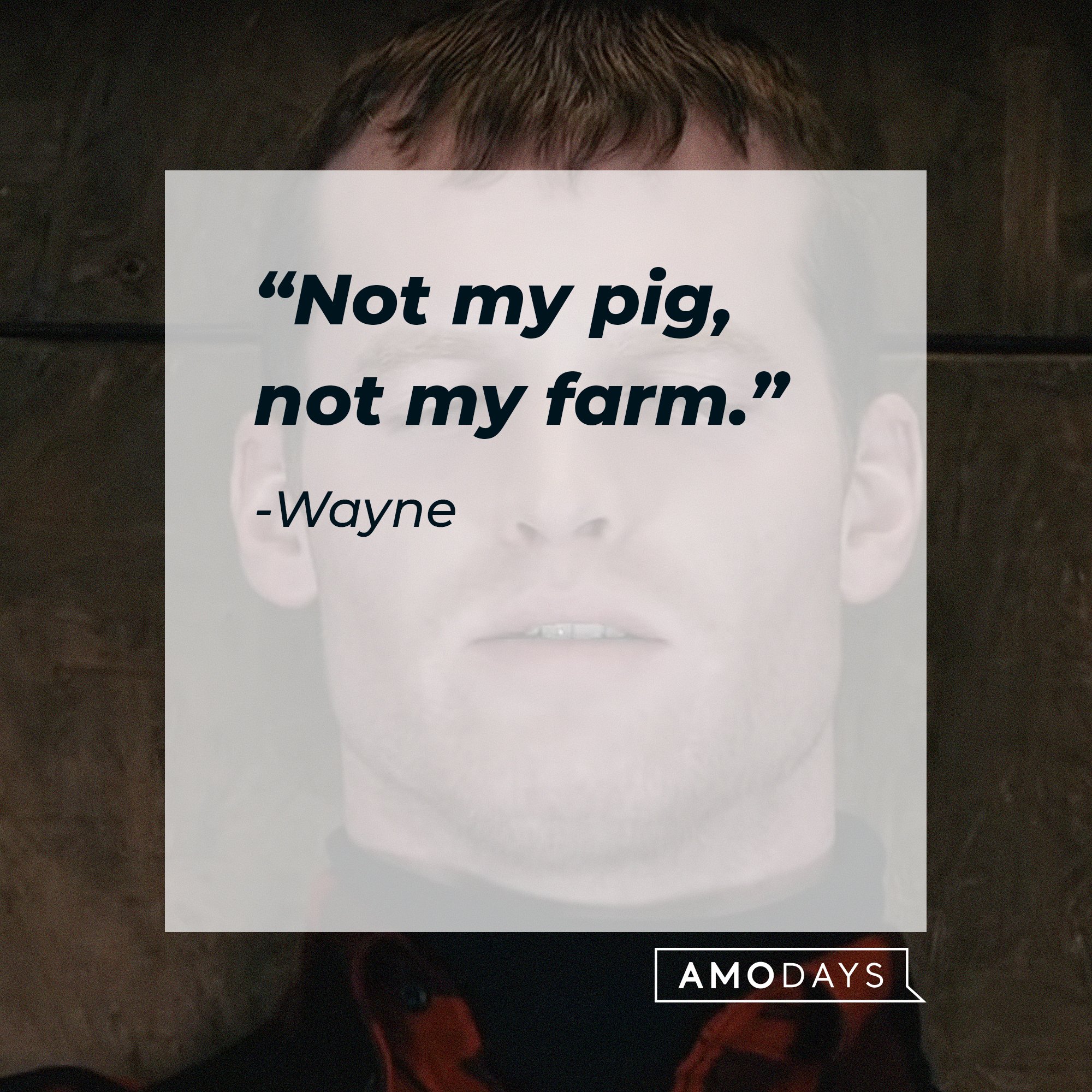 Wayne’s quote: “Not my pig, not my farm.” | Image: AmoDays