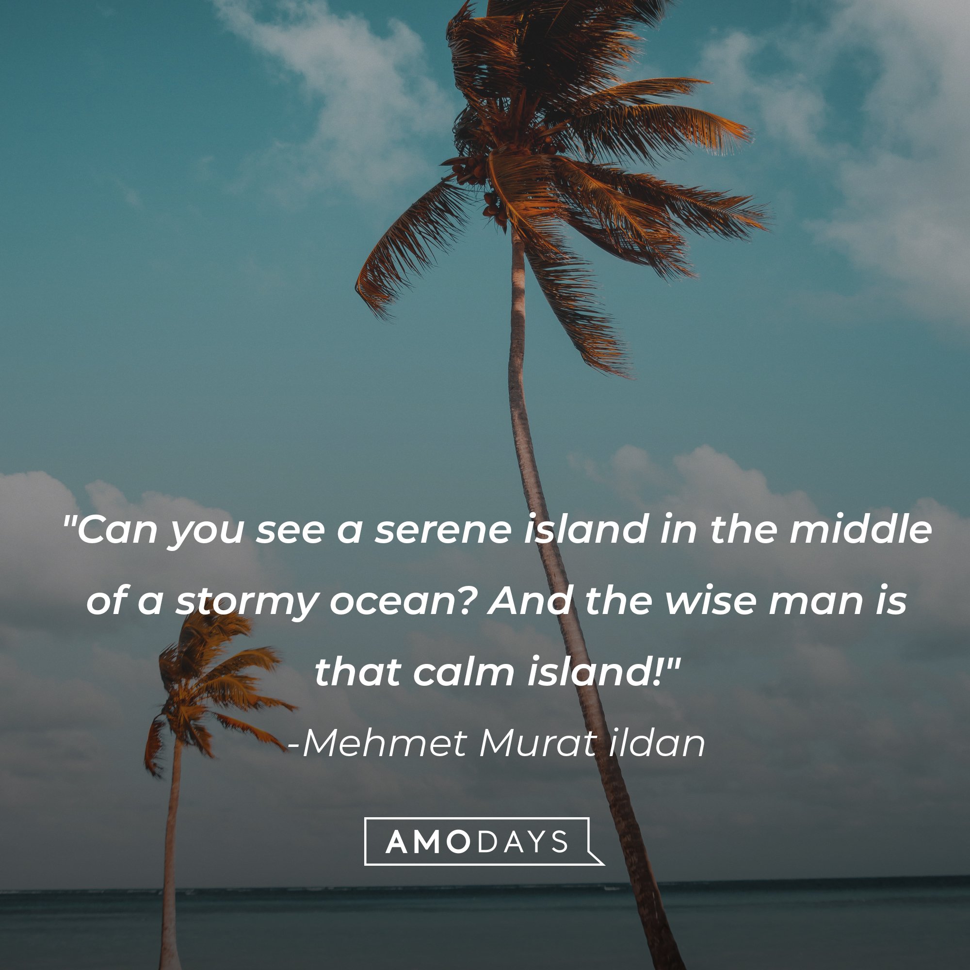 Mehmet Murat ildan's quote: "Can you see a serene island in the middle of a stormy ocean? And the wise man is that calm island!" | Image: AmoDays