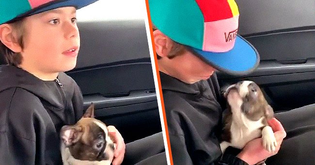 Logan Kavaluskis hält einen Boston Terrier-Welpen [links]; Logan Kavaluskis hält weinend einen Boston Terrier-Welpen [rechts]. | Quelle: Instagram.com/insideedition