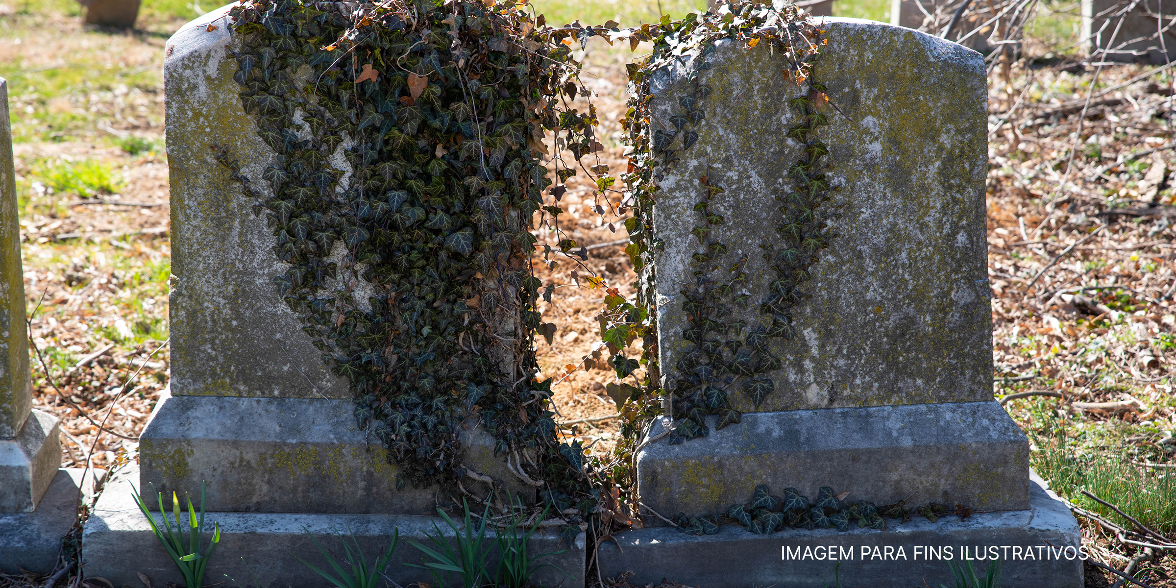 Túmulos cobertos de vegetação em um cemitério | Foto: Shutterstock
