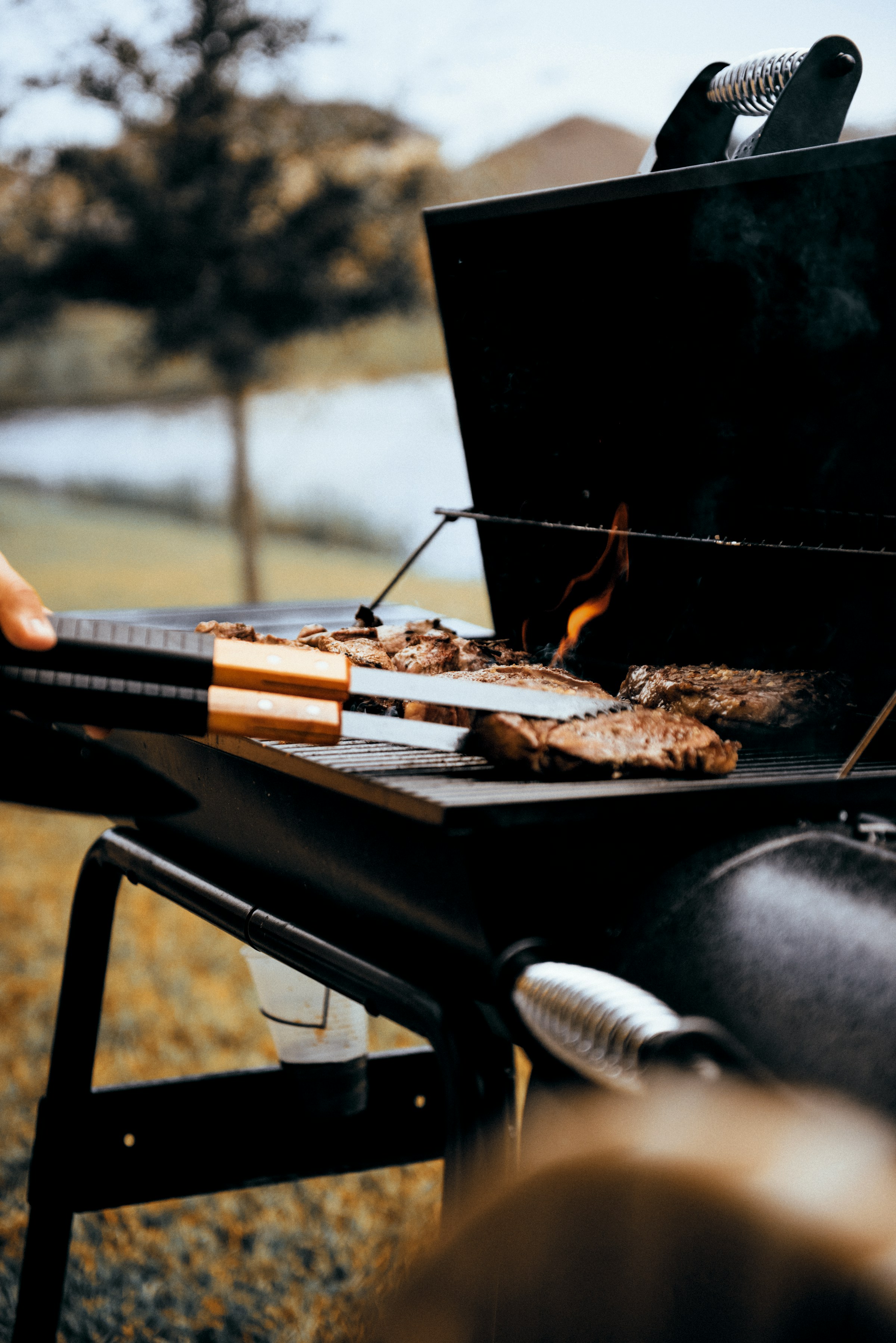 A barbecue | Source: Unsplash