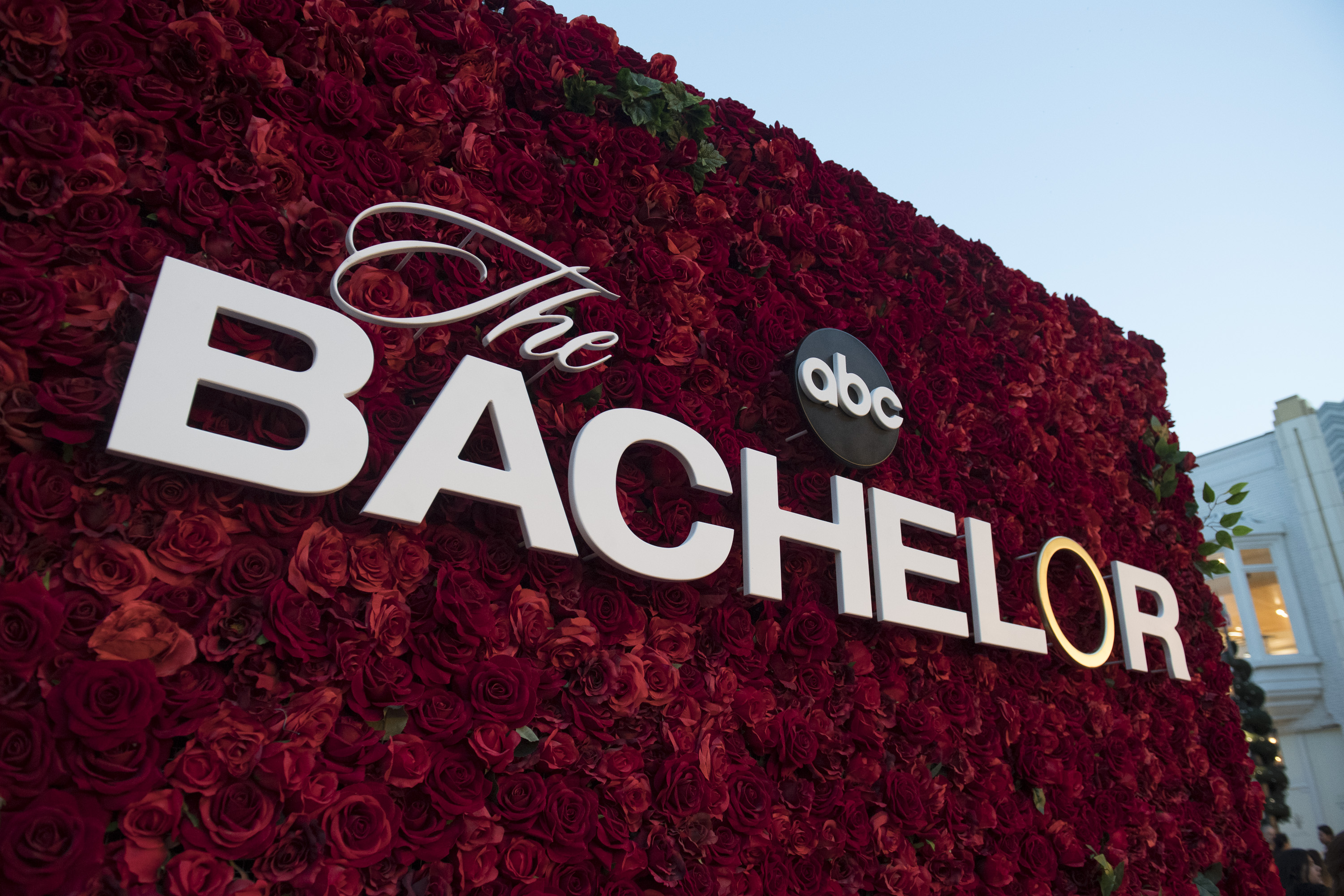 The logo of ABC's "The Bachelor" season 23 placed in front of red roses on January 4, 2019 | Source: Getty Images