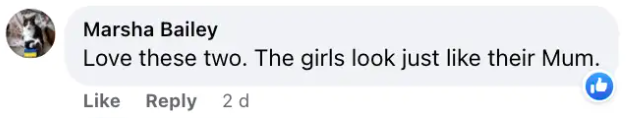 A screenshot of a comment about Emily Blunt and John Krasinski's daughters posted on September 10, 2023 | Source: Facebook/People