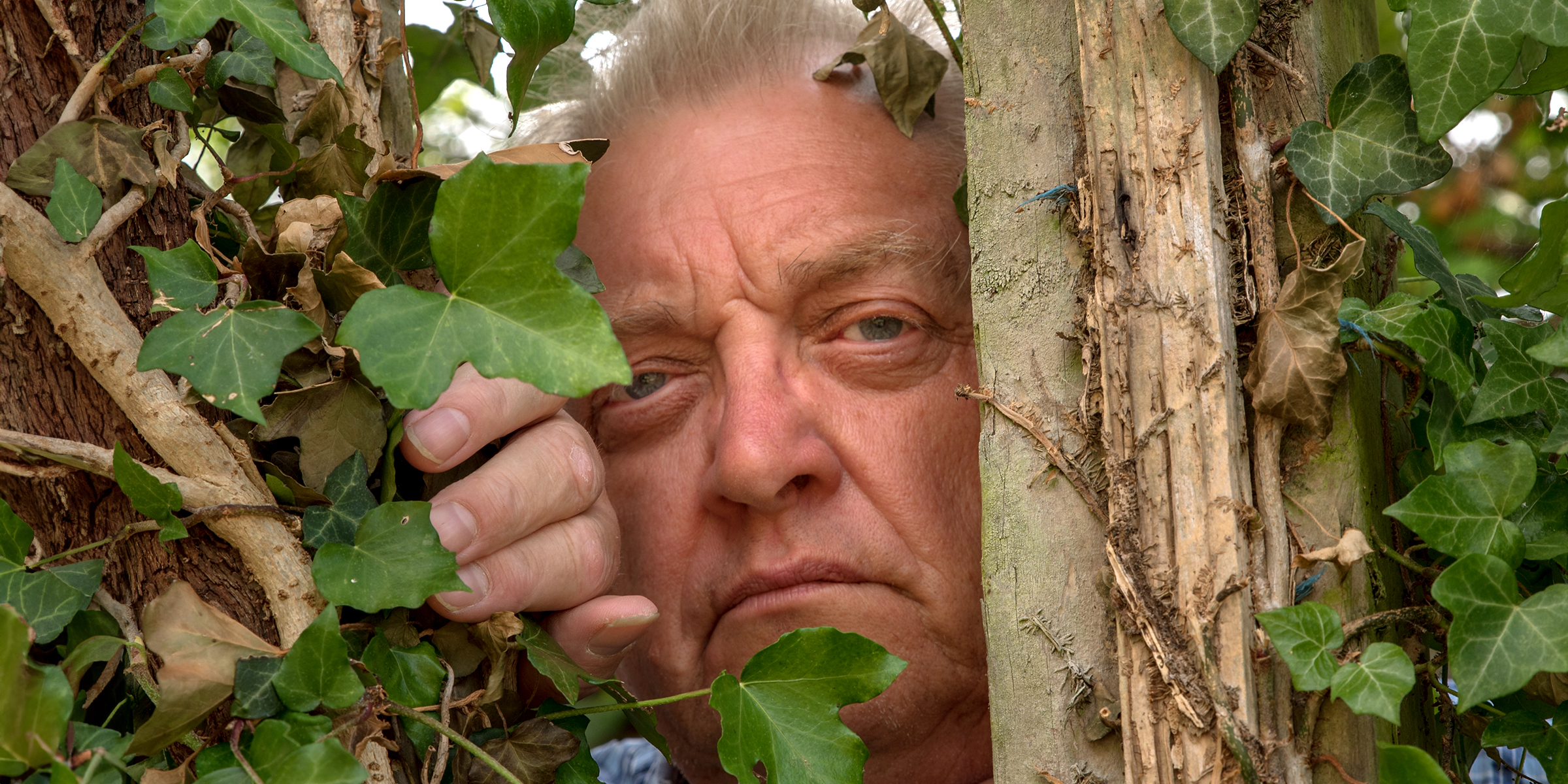 A stern man peering through ivy | Source: Shutterstock