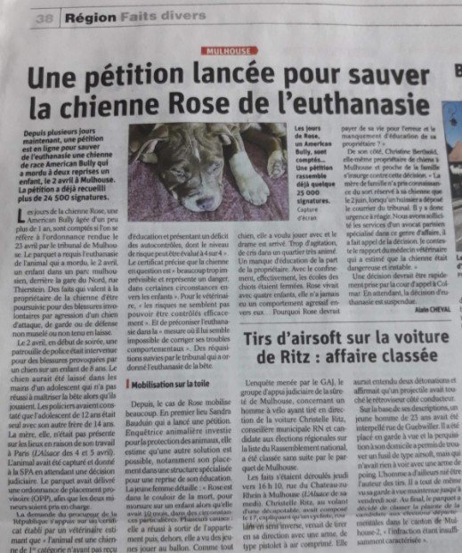 Photo : Facebook / Sandra Bauduin