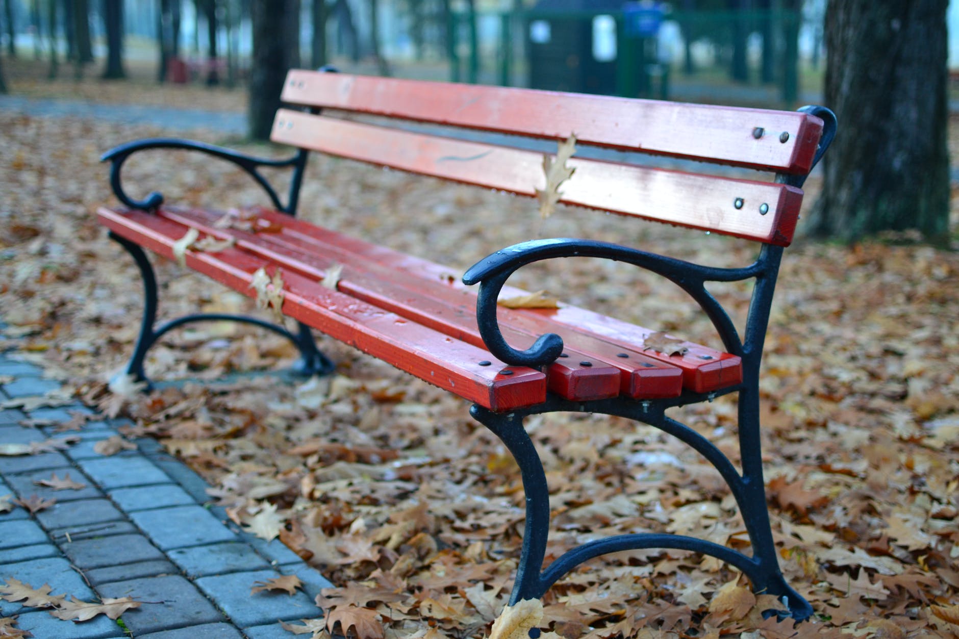 She sat down on a park bench and fell asleep. | Source: Pexels