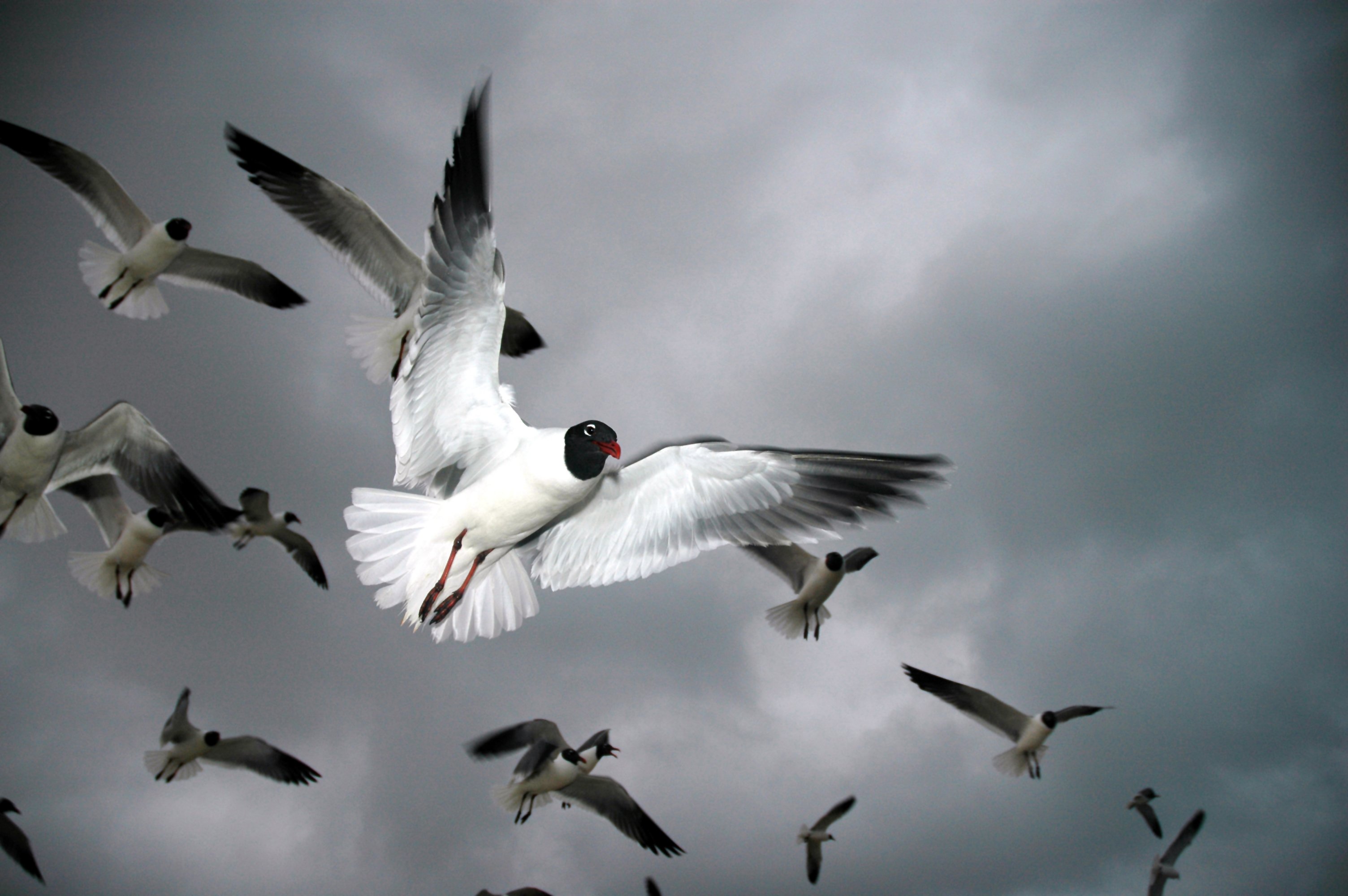 Image source: shutterstock
