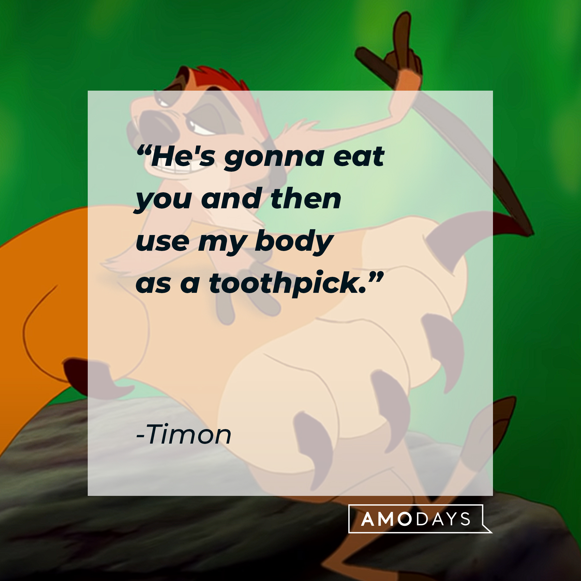 Timon, with his quote: “He's gonna eat you and then use my body as a toothpick.” | Source: youtube.com/disneyfr