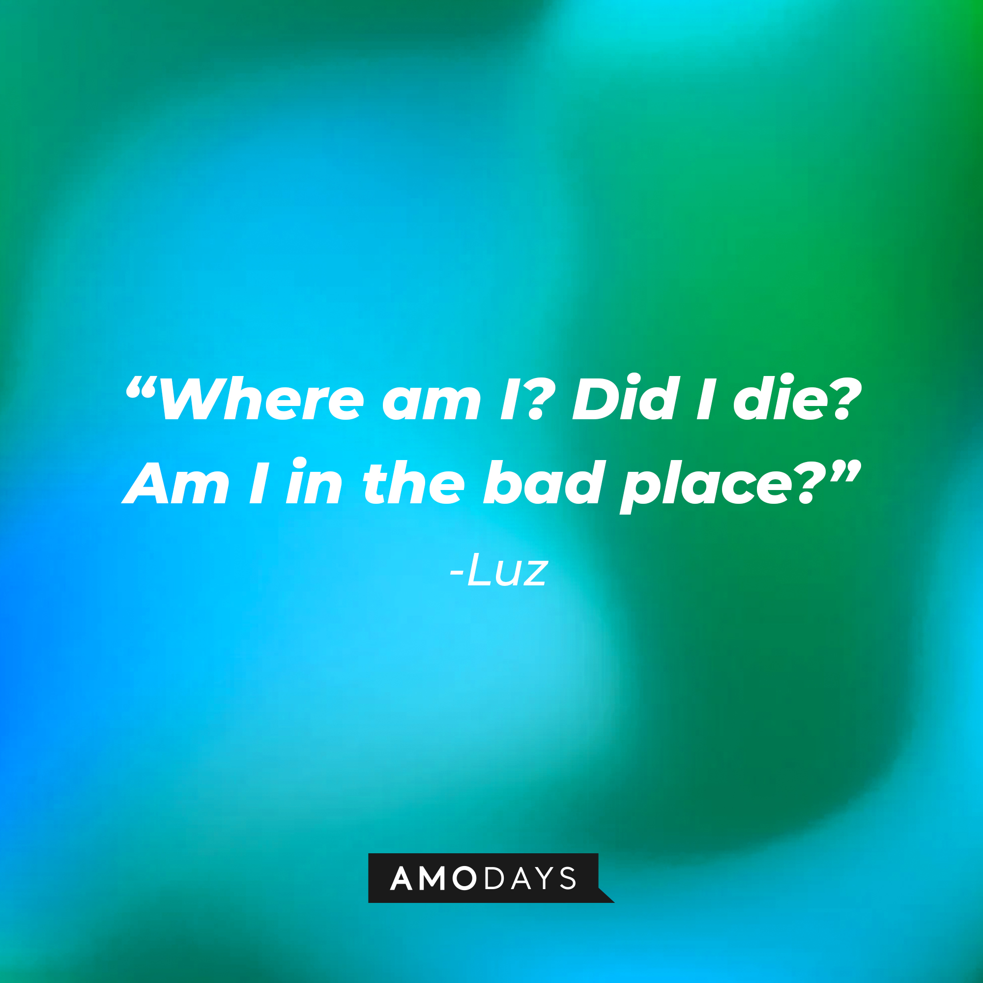 A photo with Luz's quote, "Where am I? Did I die? Am I in the bad place?" | Source: Amodays