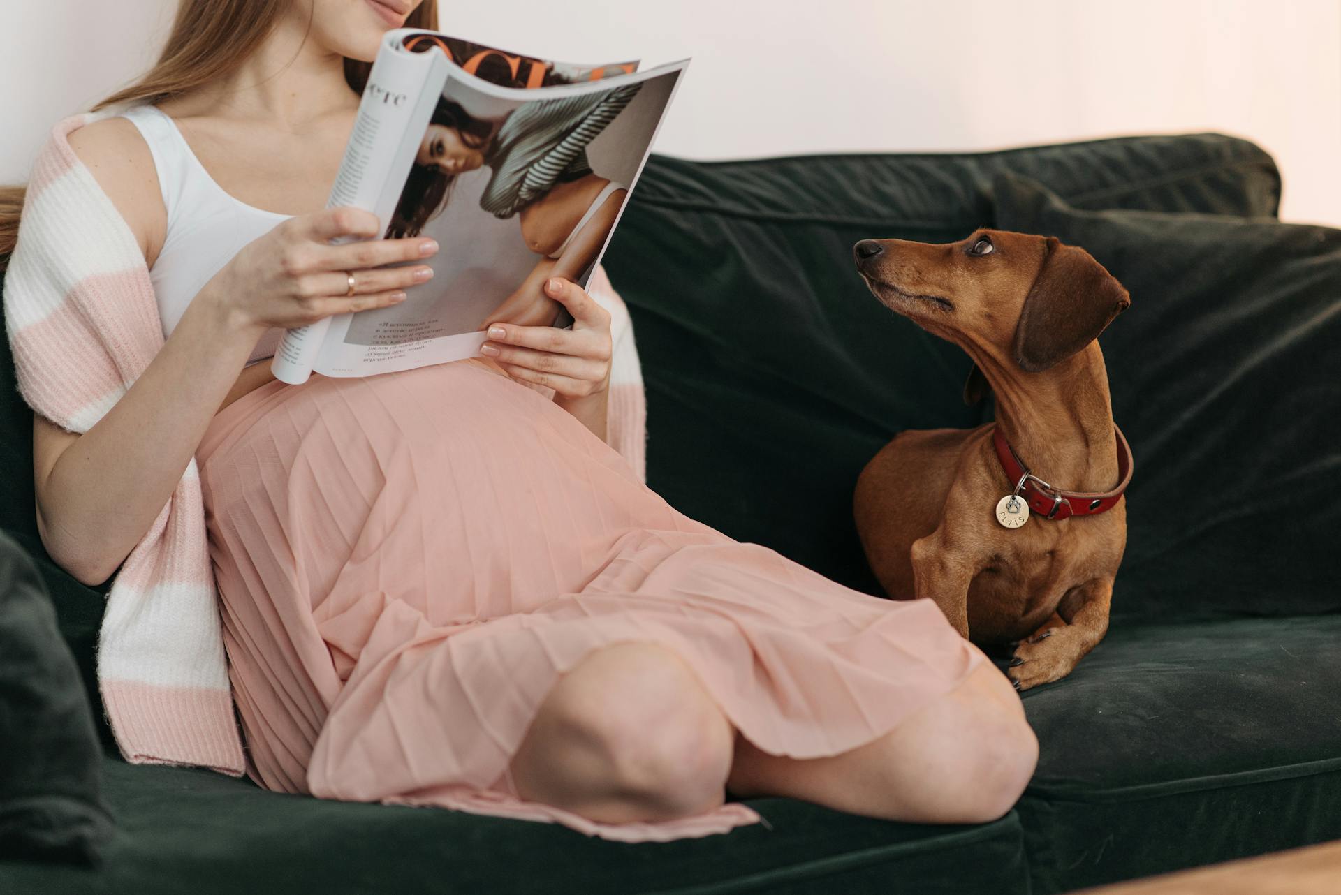 A woman on a sofa | Source: Pexels