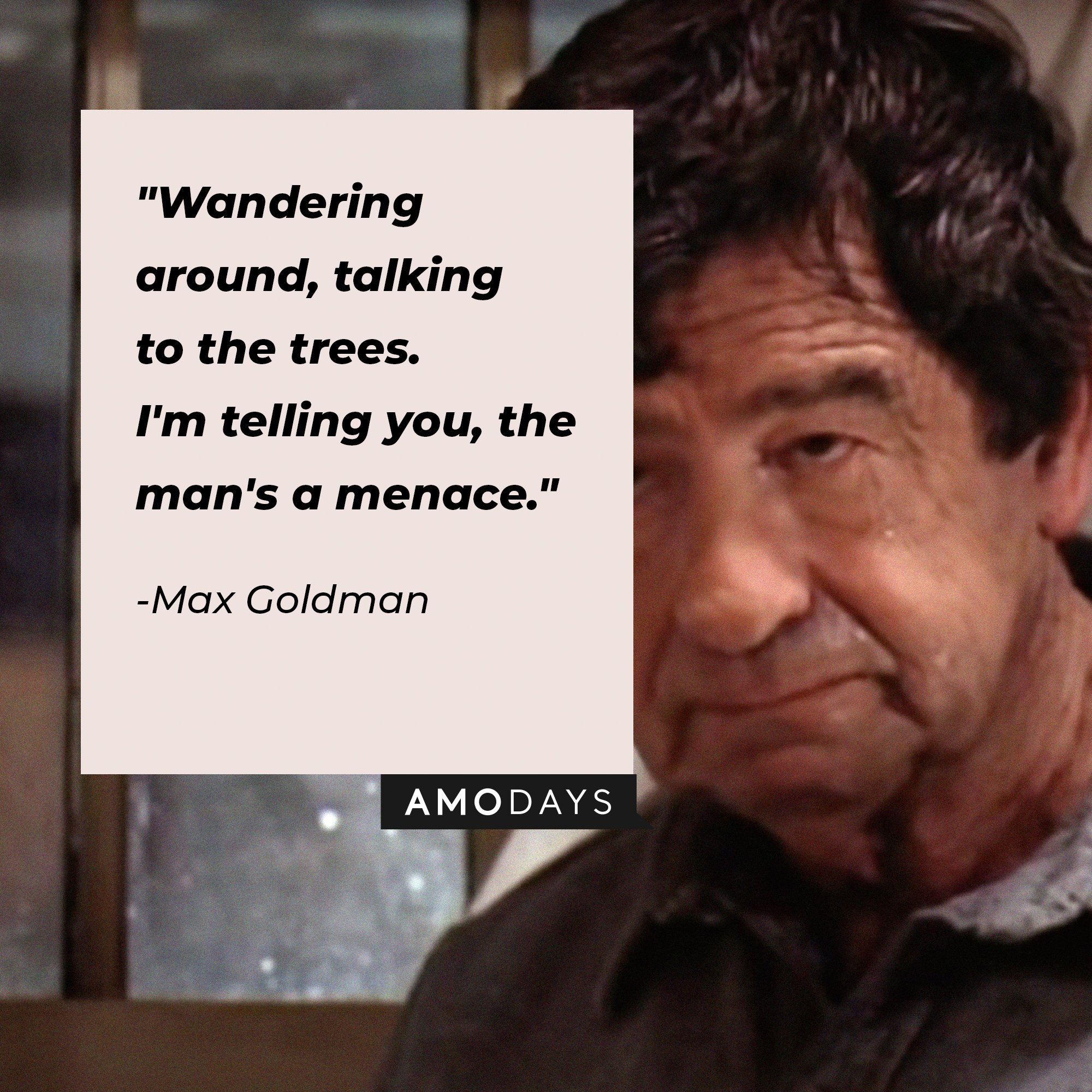 Max Goldman’s quote: “Wandering around, talking to the trees. I'm telling you, the man's a menace.” | Image: AmoDays