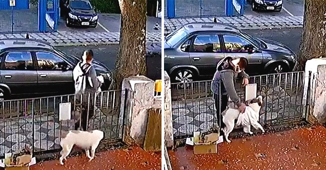 Screenshot of a man stealing from a dog. | Source: Reddit.com/chimpaya