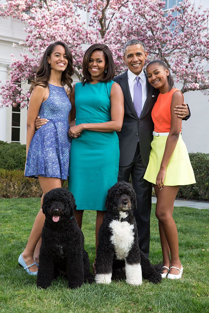 The Obama family pose for a family portrait with their pets in the Rose Garden of the White House on Easter Sunday, April 5, 2015 in Washington, DC | Photo: Getty Images 