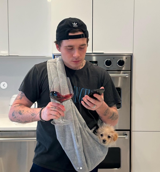 Brooklyn Beckham holds a glass of red wine while carrying his rescue puppy, Peanut, in a sling while preparing bolognese in a post shared on March 29, 2023. | Source: Instagram/Brooklyn Peltz Beckham