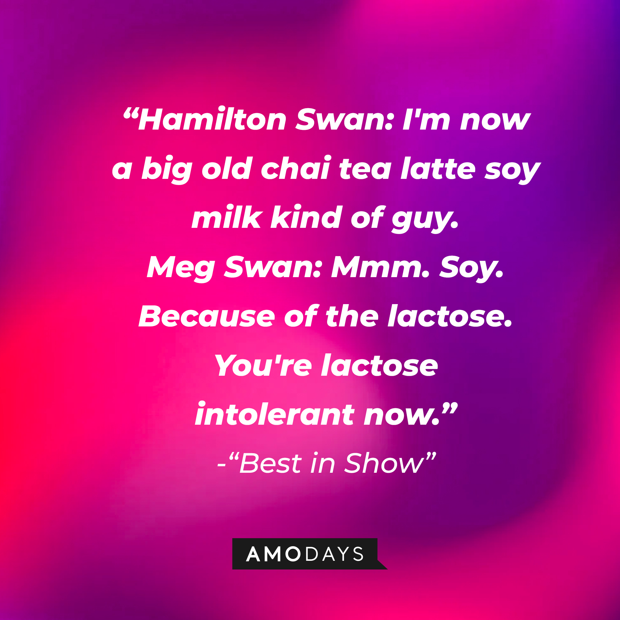 Hamilton and Meg Swan's dialogue in "Best in Show:" "Hamilton Swan: I'm now a big old chai tea latte soy milk kind of guy. Meg Swan: Mmm. Soy. Because of the lactose. You're lactose intolerant now." | Source: AmoDays