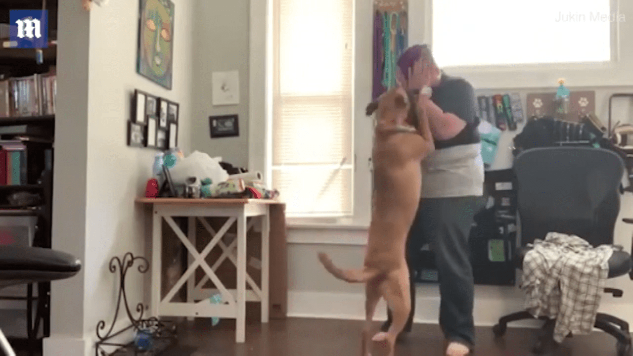 Mujer en pleno ataque de ansiedad │Imagen tomada de: YouTube / Vaya Noticias Mujer en pleno ataque de ansiedad │Imagen tomada de: YouTube / Vaya Noticias