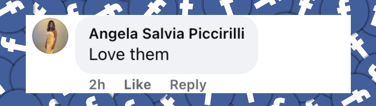 Fan comment about Don Cheadle and George Clooney, posted on January 11, 2026. | Source: Facebook/E! News