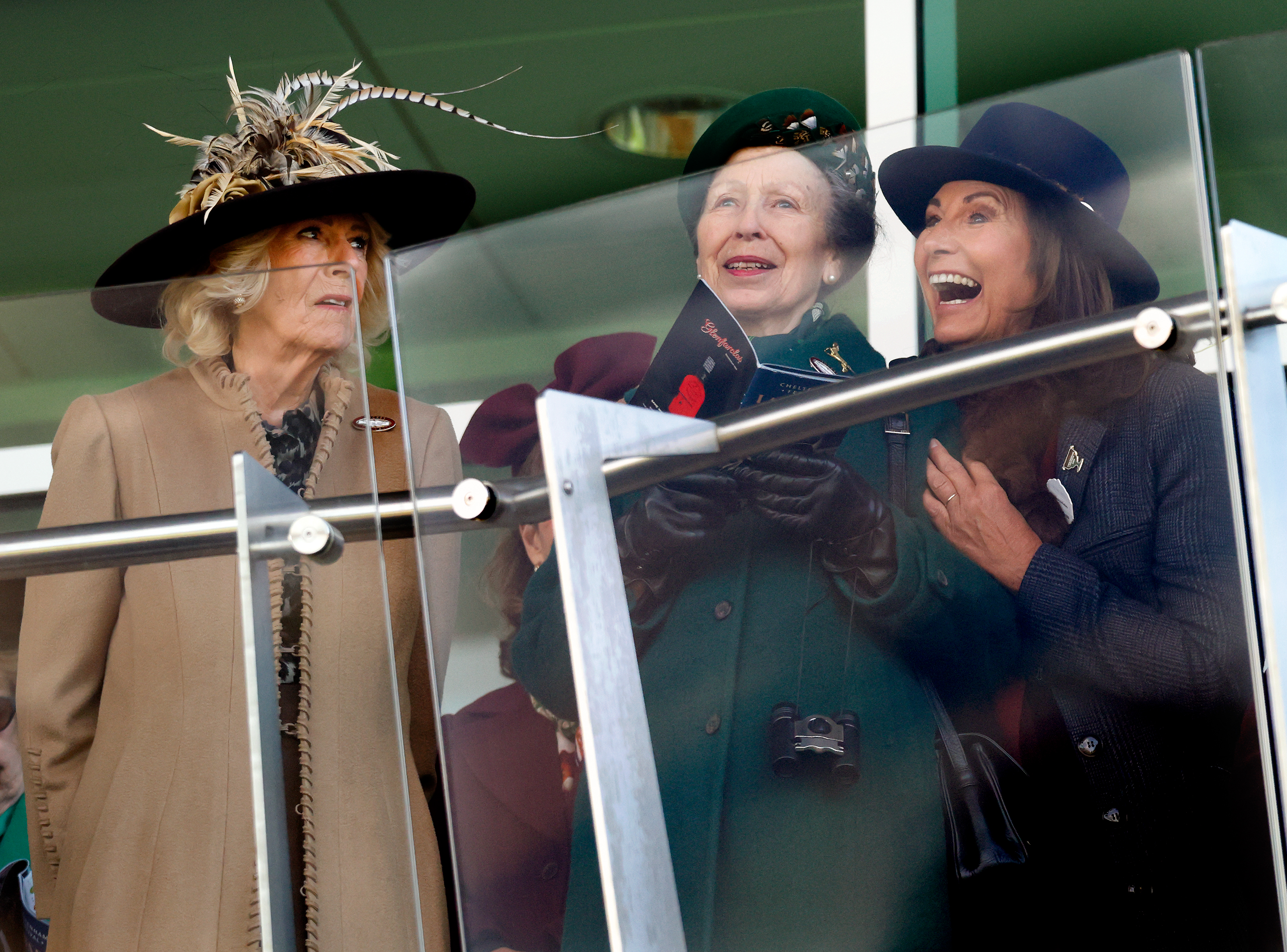 Carole Middleton leans foward in uninhibited delight, her arms wrapped around Princess Anne, who grins beside her with the Ladies Day programme in her hands and Queen Camilla, poised and impeccably turned out in her camel coat, watches the moment unfold from the other side of the balcony glass.