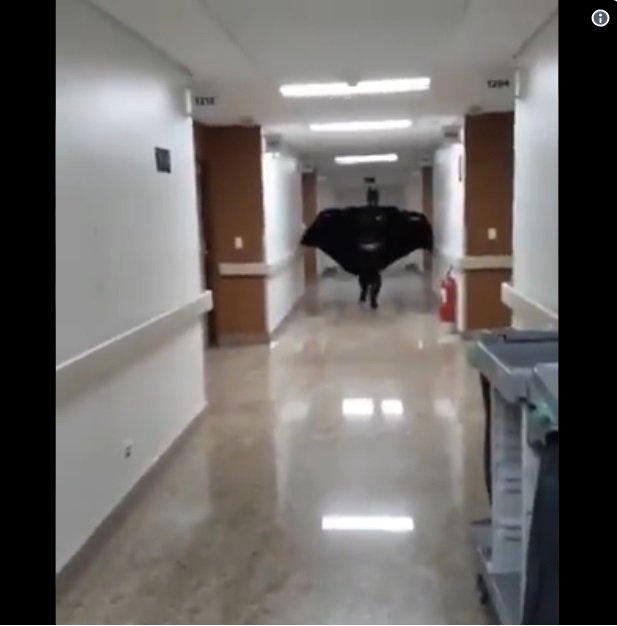 Doctor camina por los pasillos de un hospital vestido como Batman | Foto: Twitter / El Límite Del Bien Doctor camina por los pasillos de un hospital vestido como Batman | Foto: Twitter / El Límite Del Bien