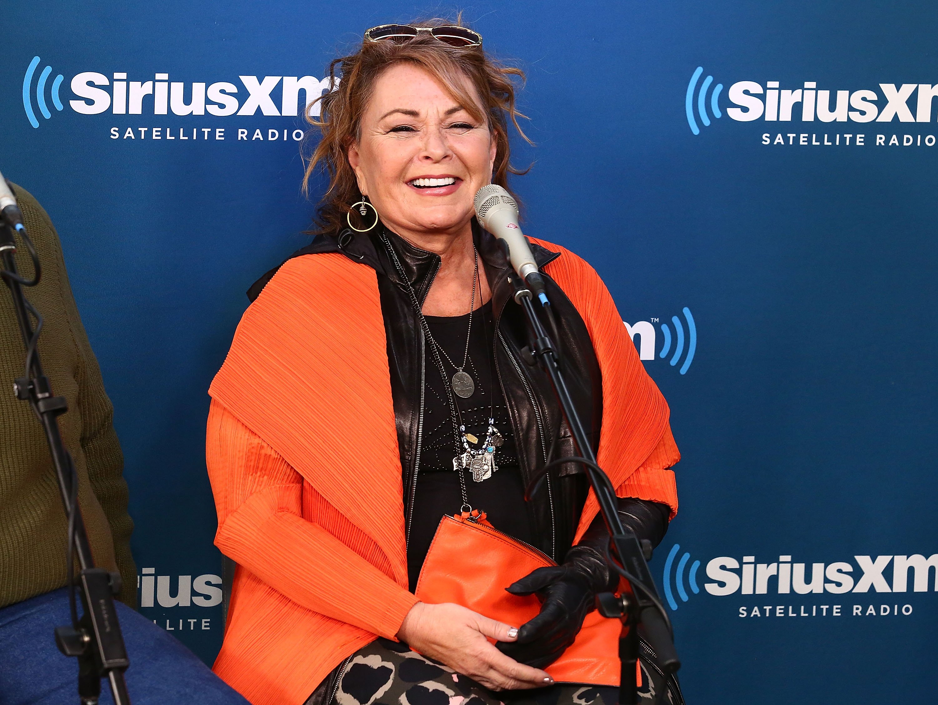 Roseanne Barr speaks during SiriusXM's Town Hall on March 27, 2018, in New York City. | Source: Getty Images