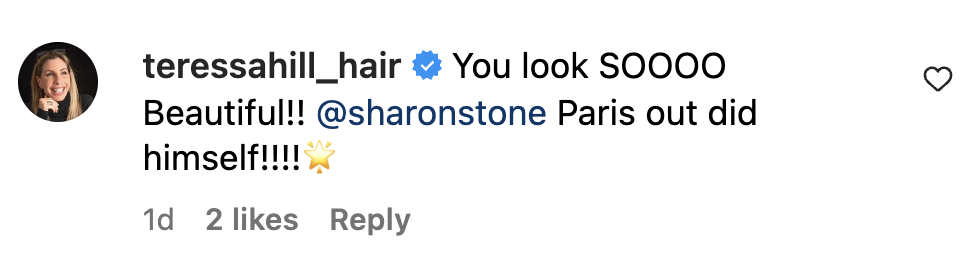 A fan comment on Sharon Stone's recent Instagram post dated November 2023 | Source: Instagram.com/sharonstone