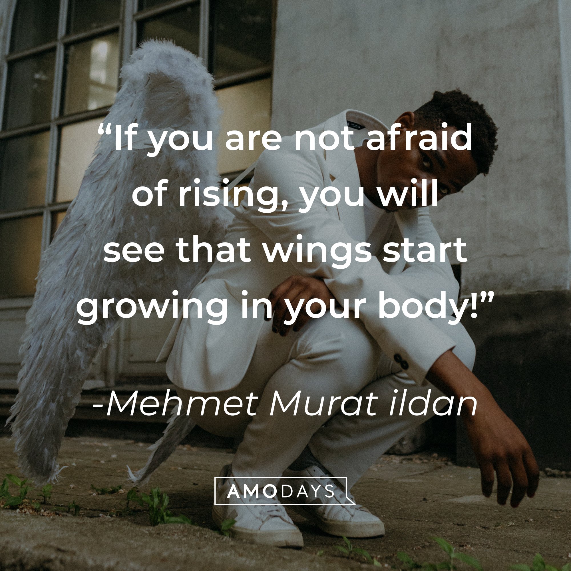 Mehmet Murat ildan's quote: "If you are not afraid of rising, you will see that wings start growing in your body!" | Image: AmoDays