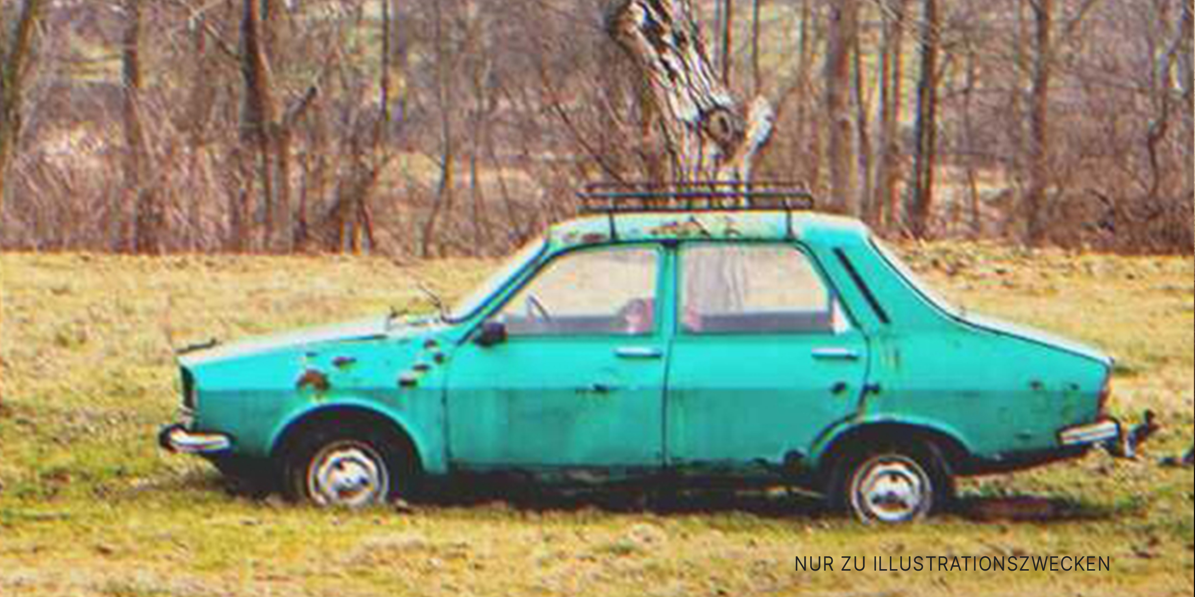 Ein Auto im Wald | Quelle: Shutterstock