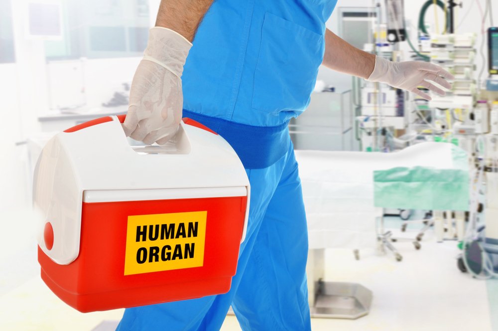 A doctor brings organ donation for organ transplantation. | Photo: Shutterstock