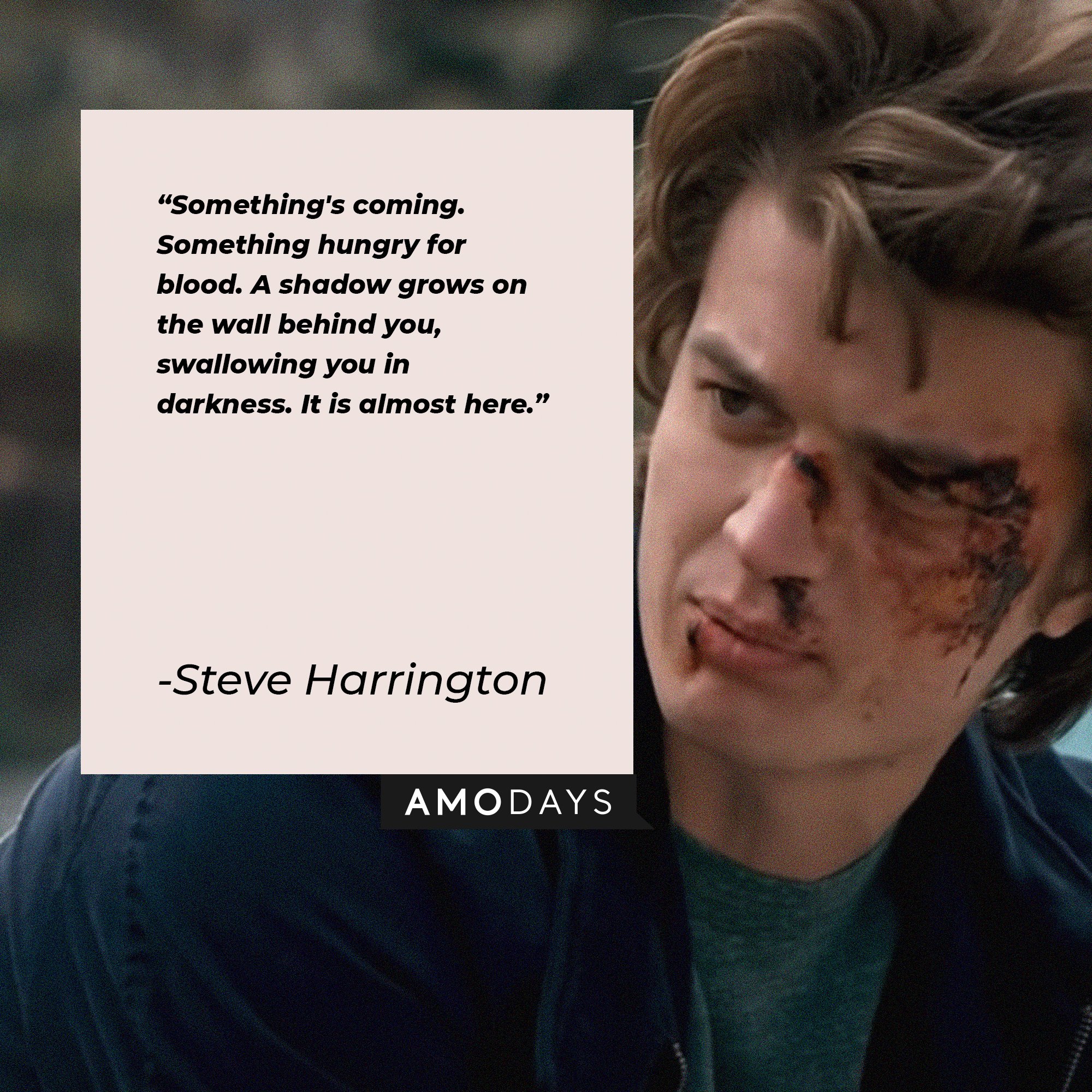  Steve Harrington's quote:  "Something's coming. Something hungry for blood. A shadow grows on the wall behind you, swallowing you in darkness. It is almost here." | Image: AmoDays  