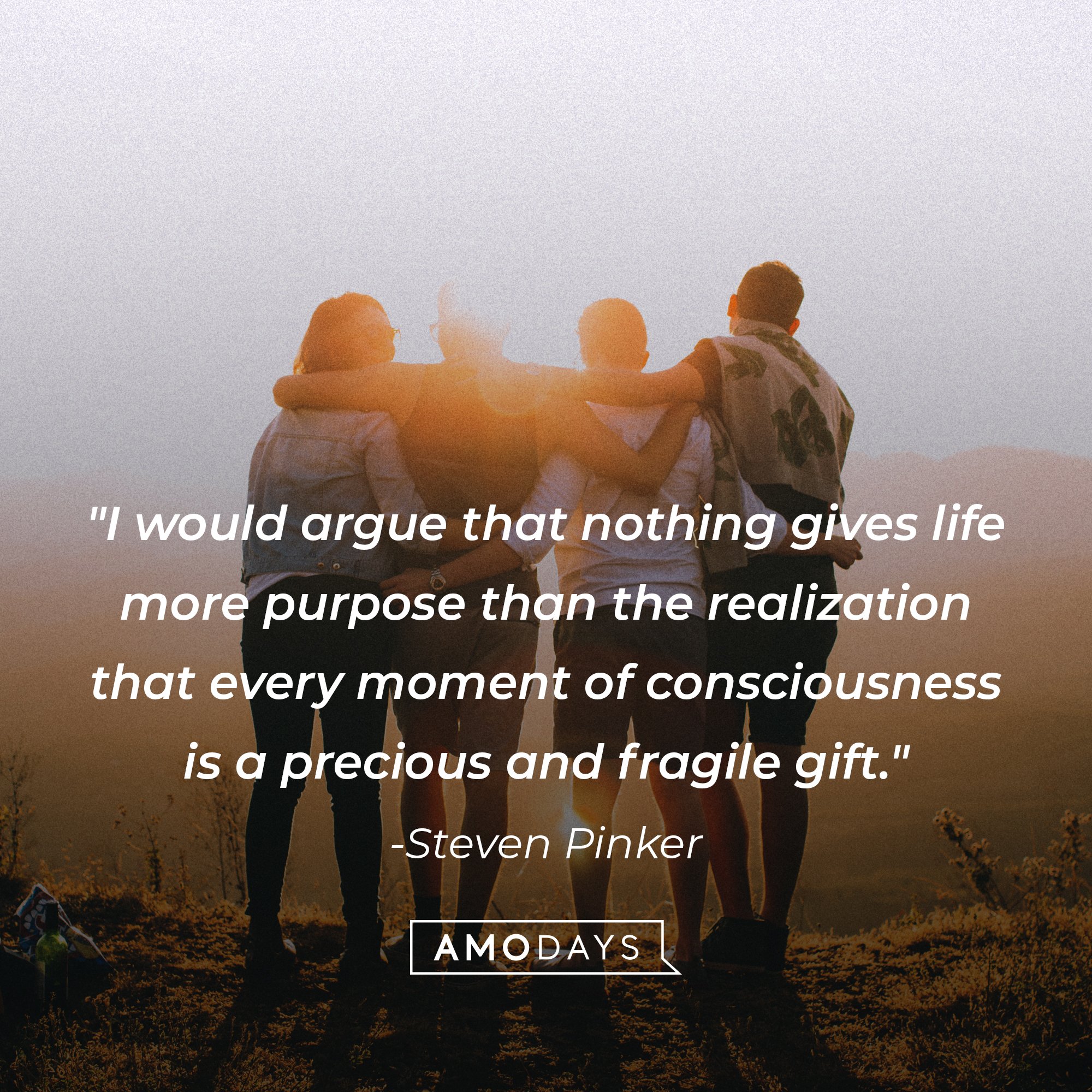 Steven Pinker’s quote: "I would argue that nothing gives life more purpose than the realization that every moment of consciousness is a precious and fragile gift." | Image: AmoDays