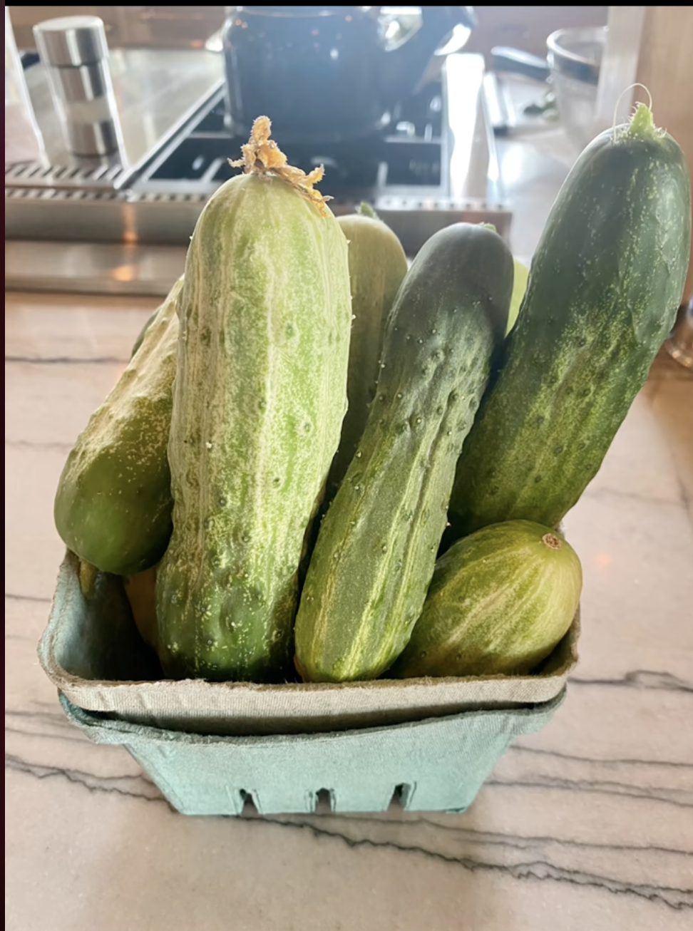 Cucumbers pictured in a container on July 21, 2022 | Source: TikTok/carrieunderwood