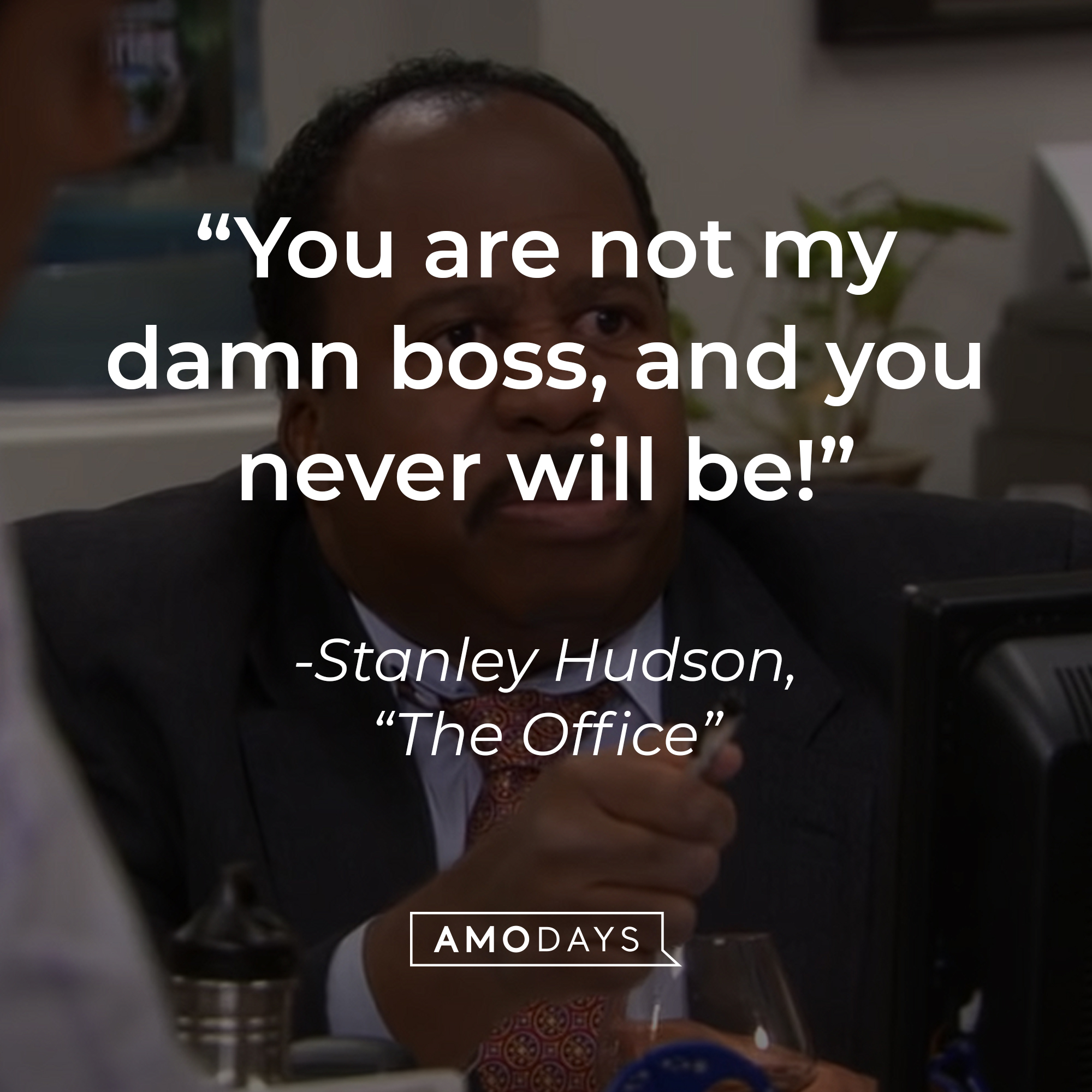 An image of Leslie David Baker as Stanley Hudson in "The Office" with the dialogue: "You are not my damn boss, and you will never be!" | Source: youtube.com/The Office