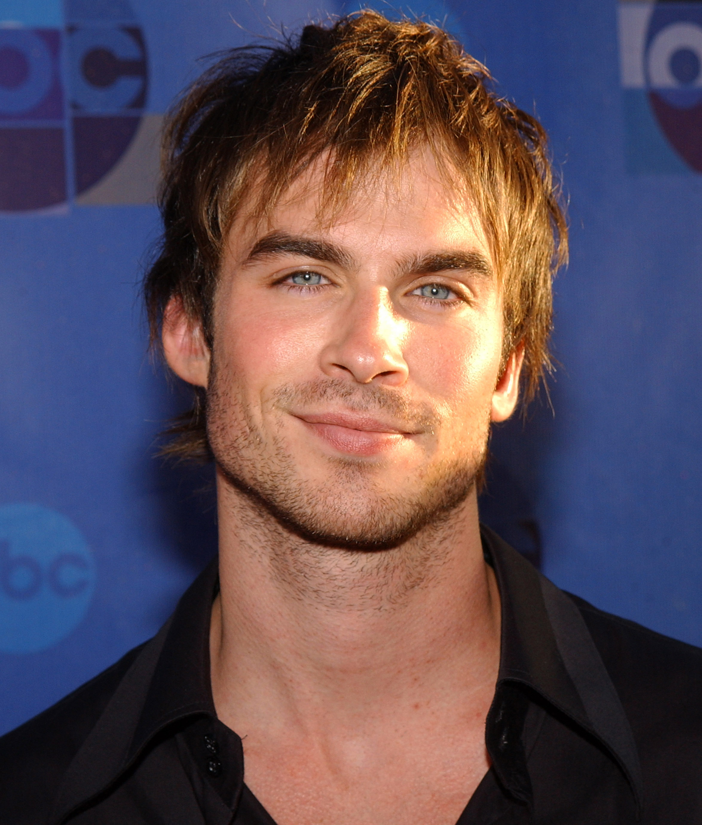 The star at the ABC All Star Summer Party on July 13, 2004, in Century City, California. | Source: Getty Images