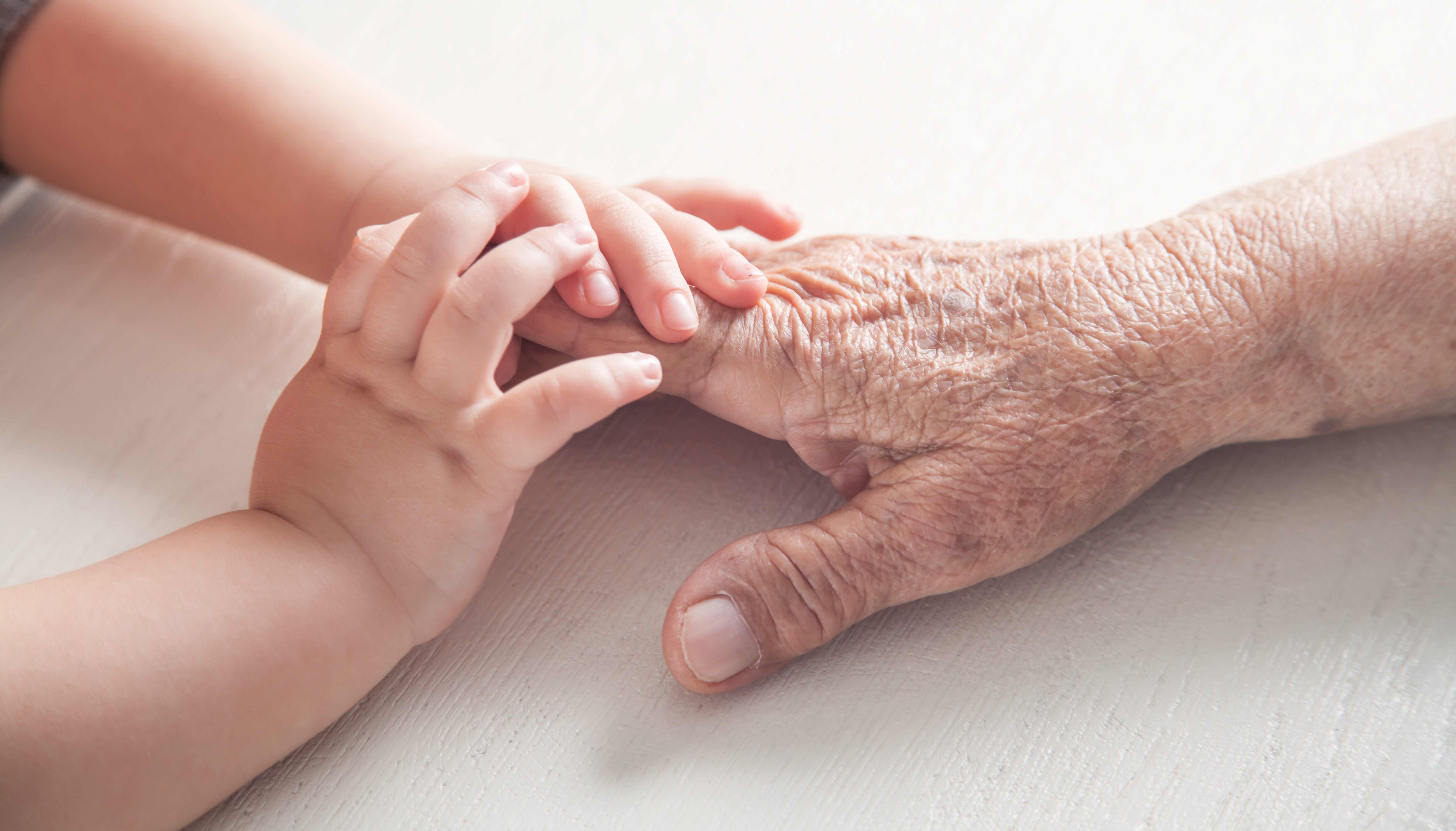 An child's hands holding an older person's hand. | Source: Shutterstock/ANDRANIK HAKOBYAN