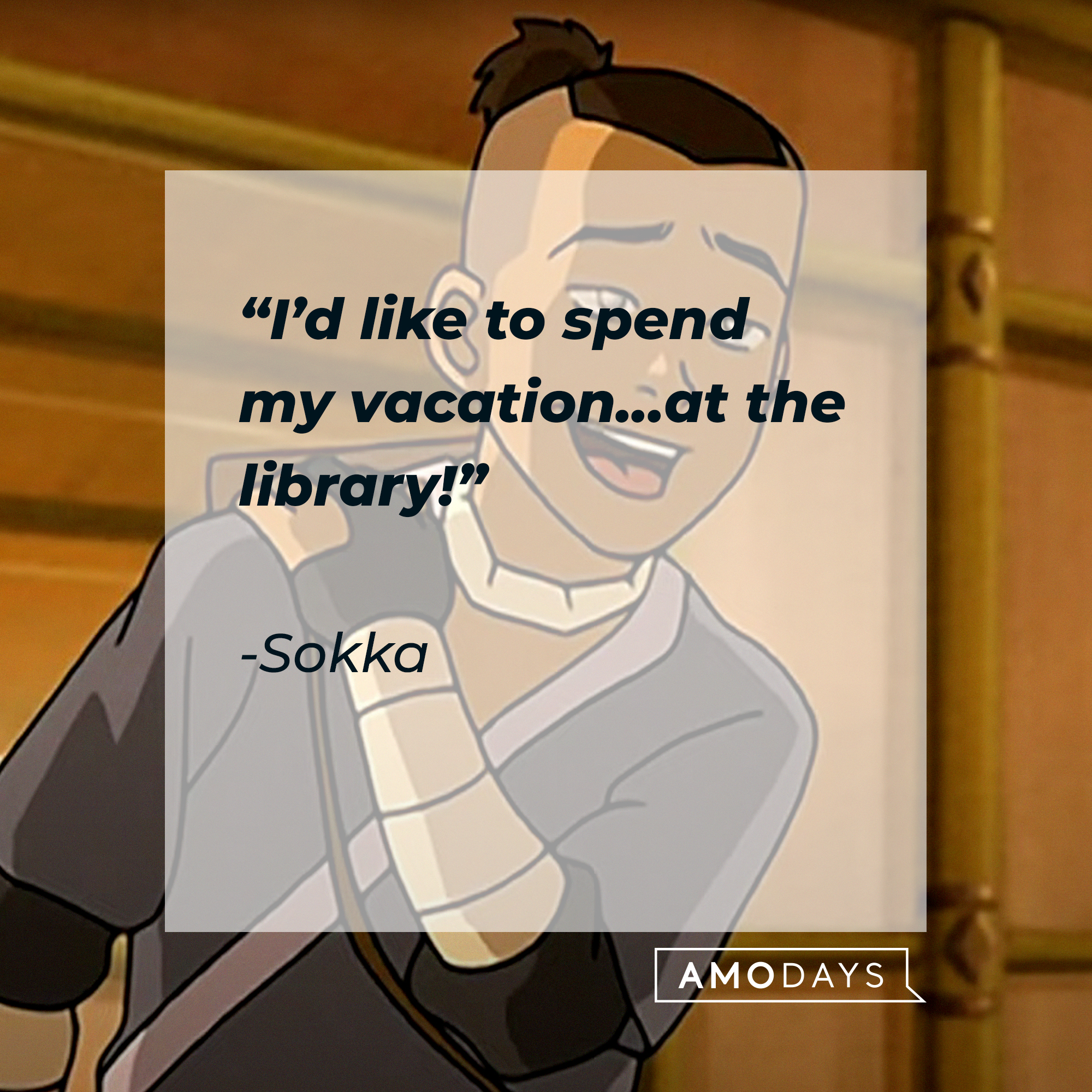 Sokka, with his quote: “I’d like to spend my vacation... at the library!” | Source: Youtube.com/TeamAvatar