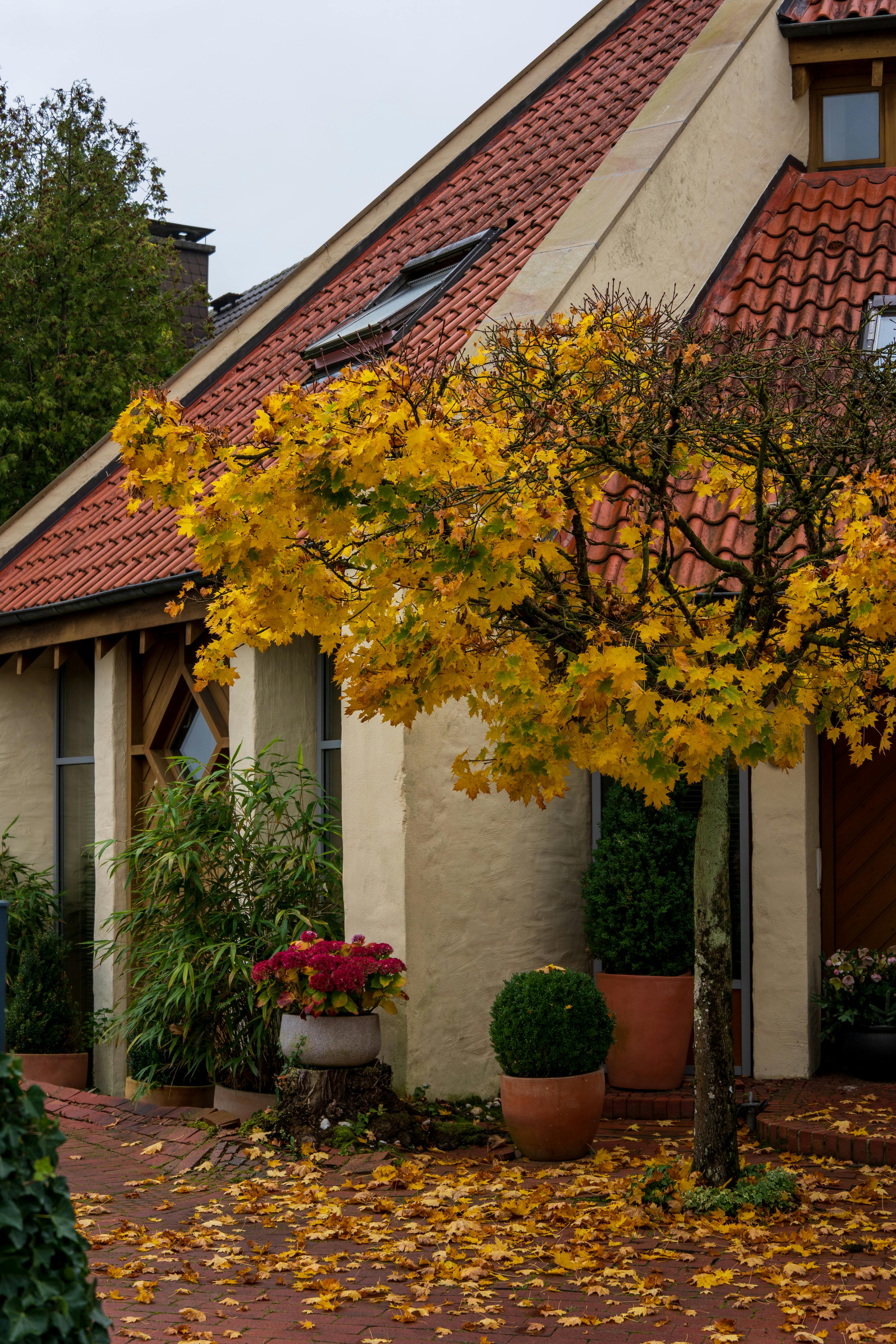 A quiet house | Source: Pexels