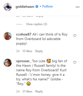 Fans comment on the name of Goldie Hawn's new Labrador puppy. | Source: Instagram/goldiehawn.