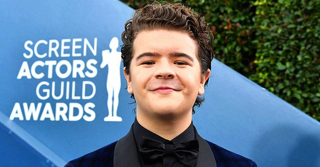 Gaten Matarazzo at the 26th Annual Screen Actors Guild Awards on January 19, 2020 in Los Angeles, California. | Photo: Getty Images